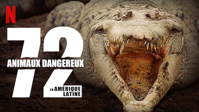Les 72 Animaux Les Plus Dangereux 72 animaux dangereux en Amérique latine (2017) - Netflix | Flixable